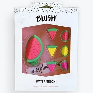 NIB Watermelon Wine Stopper & Wine Charms Set ~ Perfect For Summer Hostess Gift